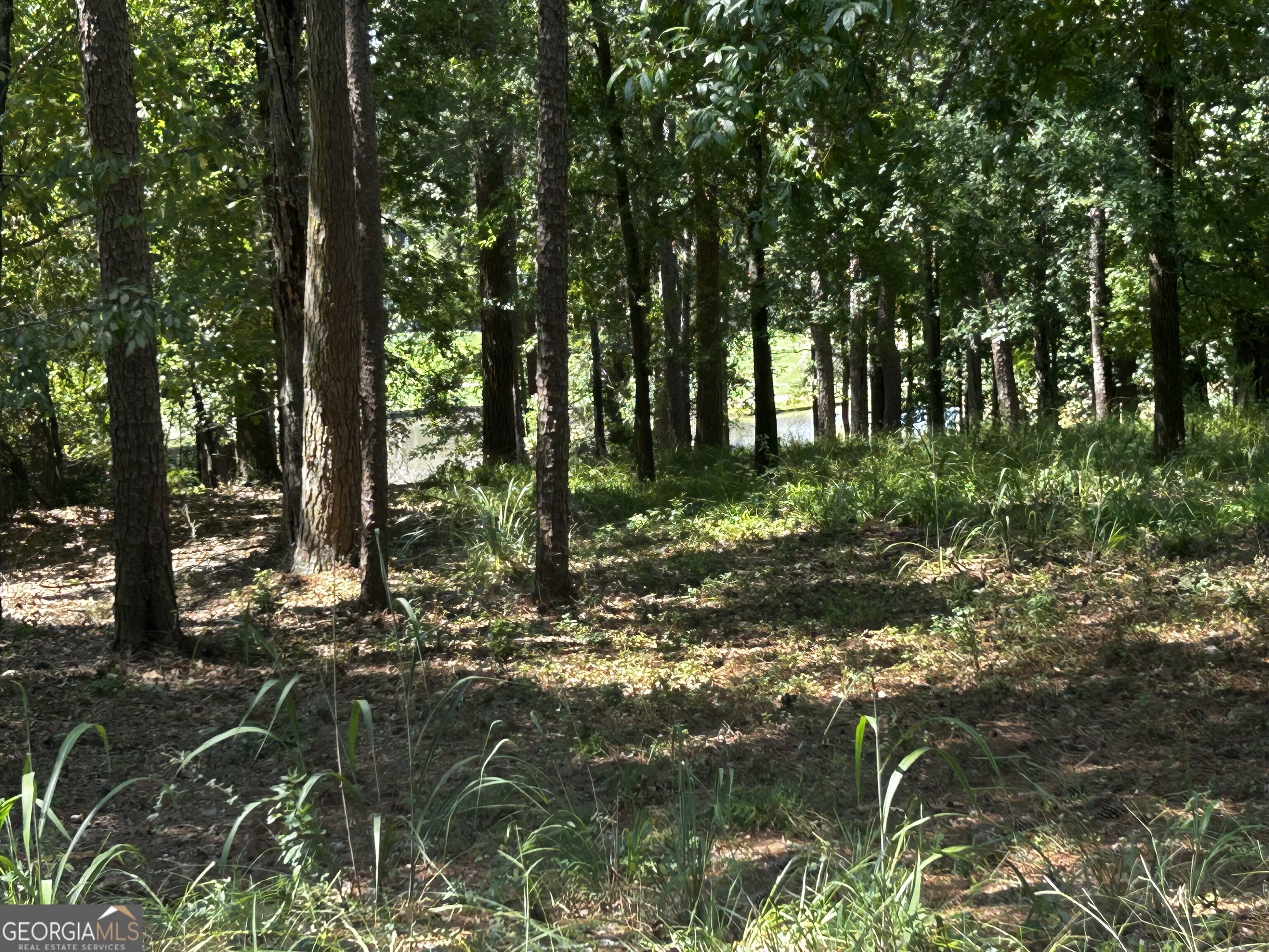 1191 Lakeview Court Property Photo 1