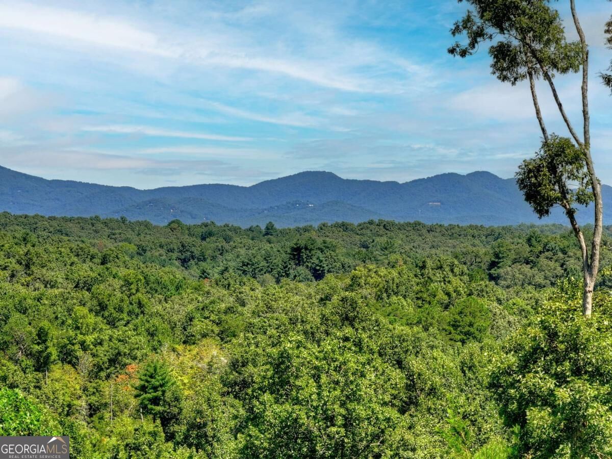 320 Amber Ridge Property Photo 2