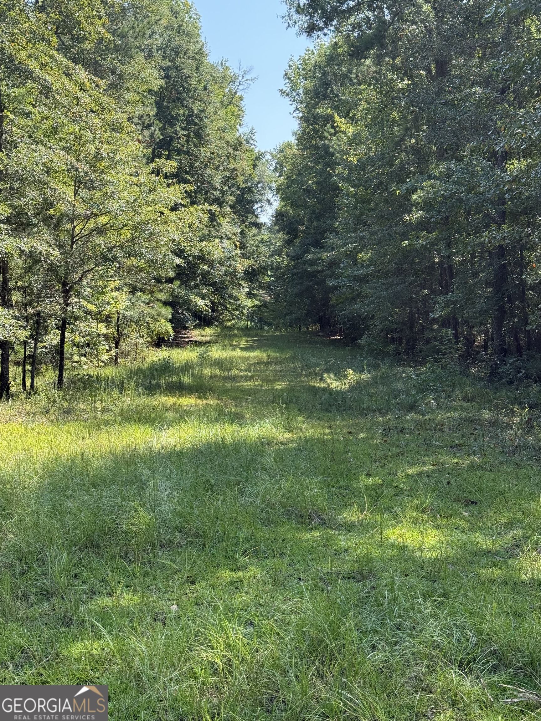 0 Oak Valley Drive Property Photo 5