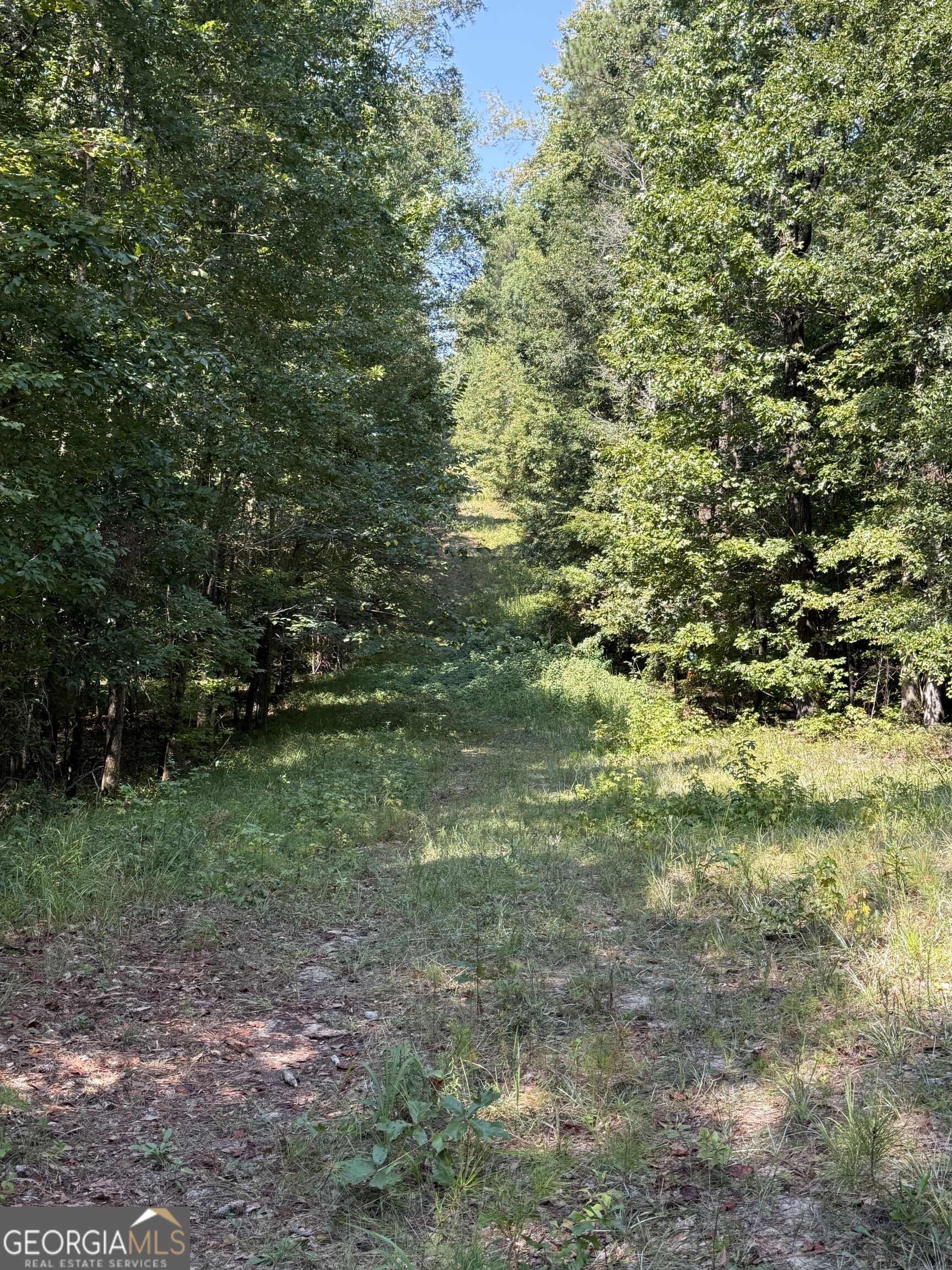 0 Oak Valley Drive Property Photo 6