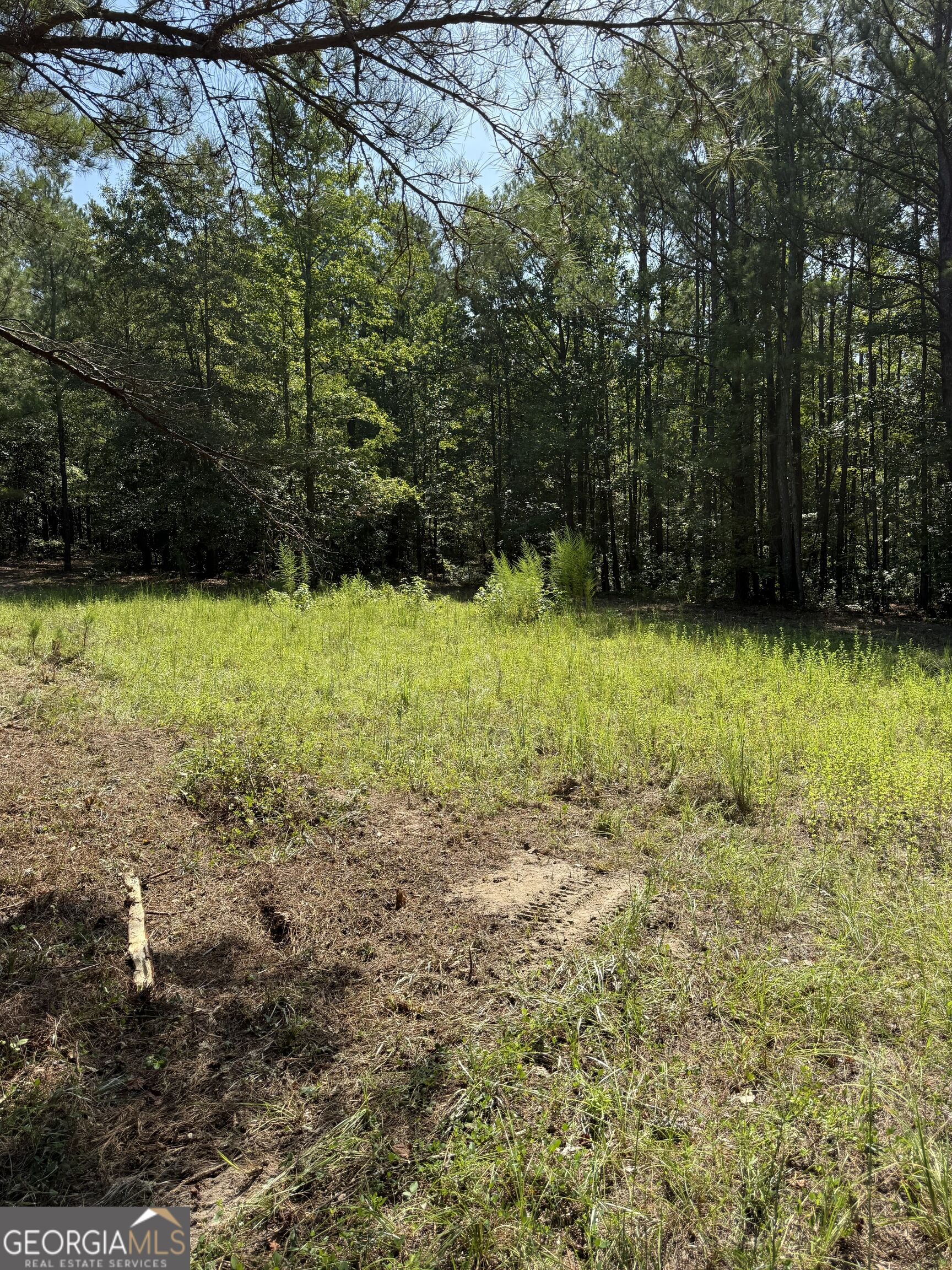 0 Oak Valley Drive Property Photo 15