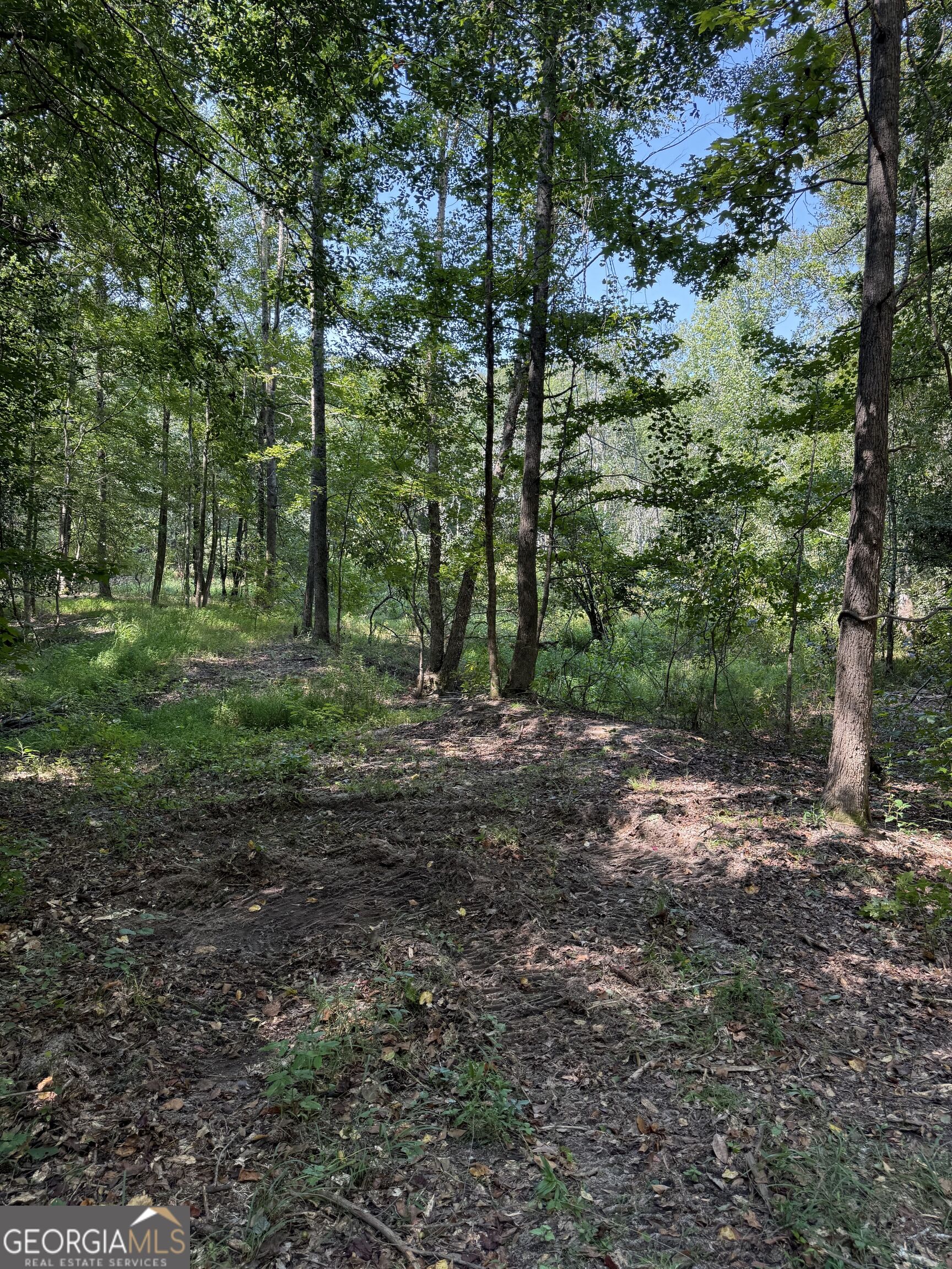 0 Oak Valley Drive Property Photo 17