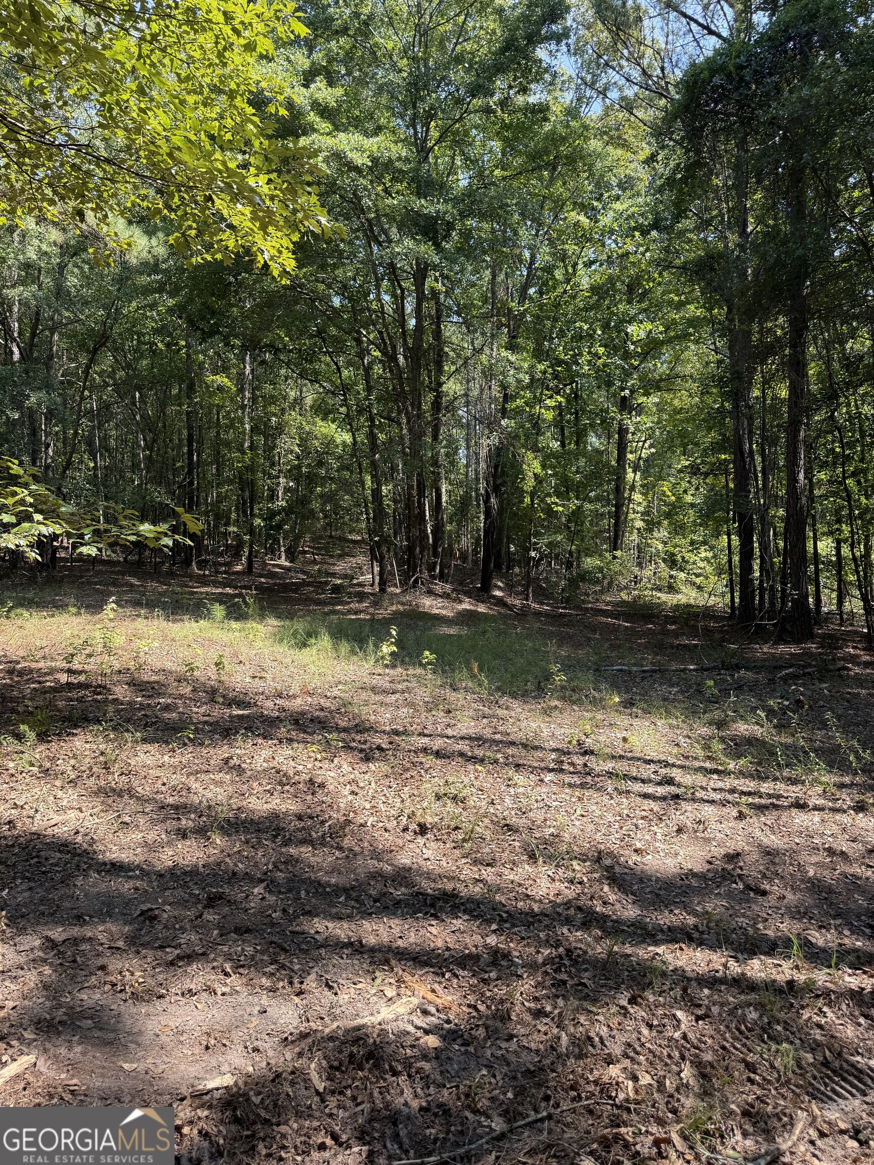 0 Oak Valley Drive Property Photo 18