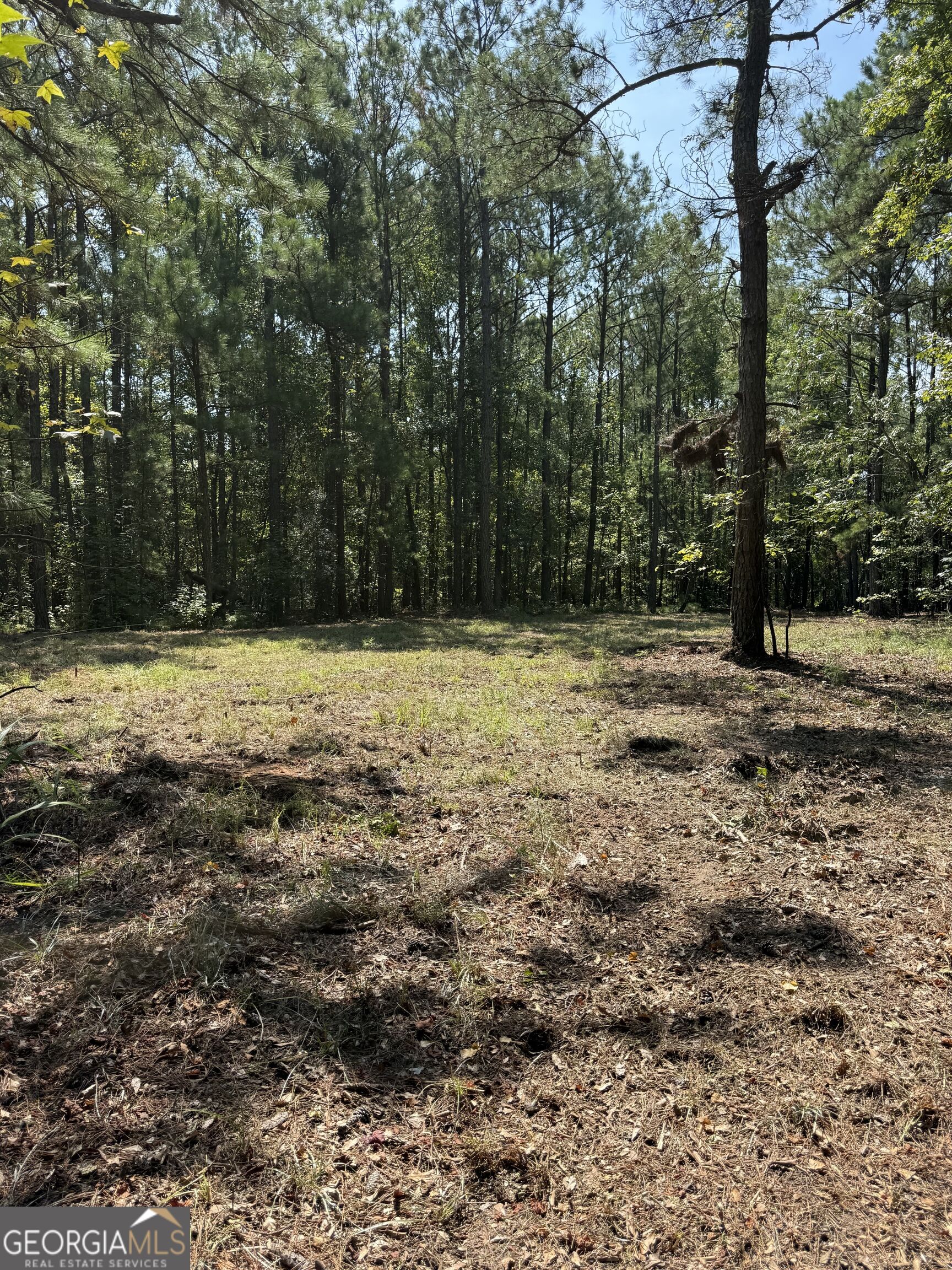 0 Oak Valley Drive Property Photo 20