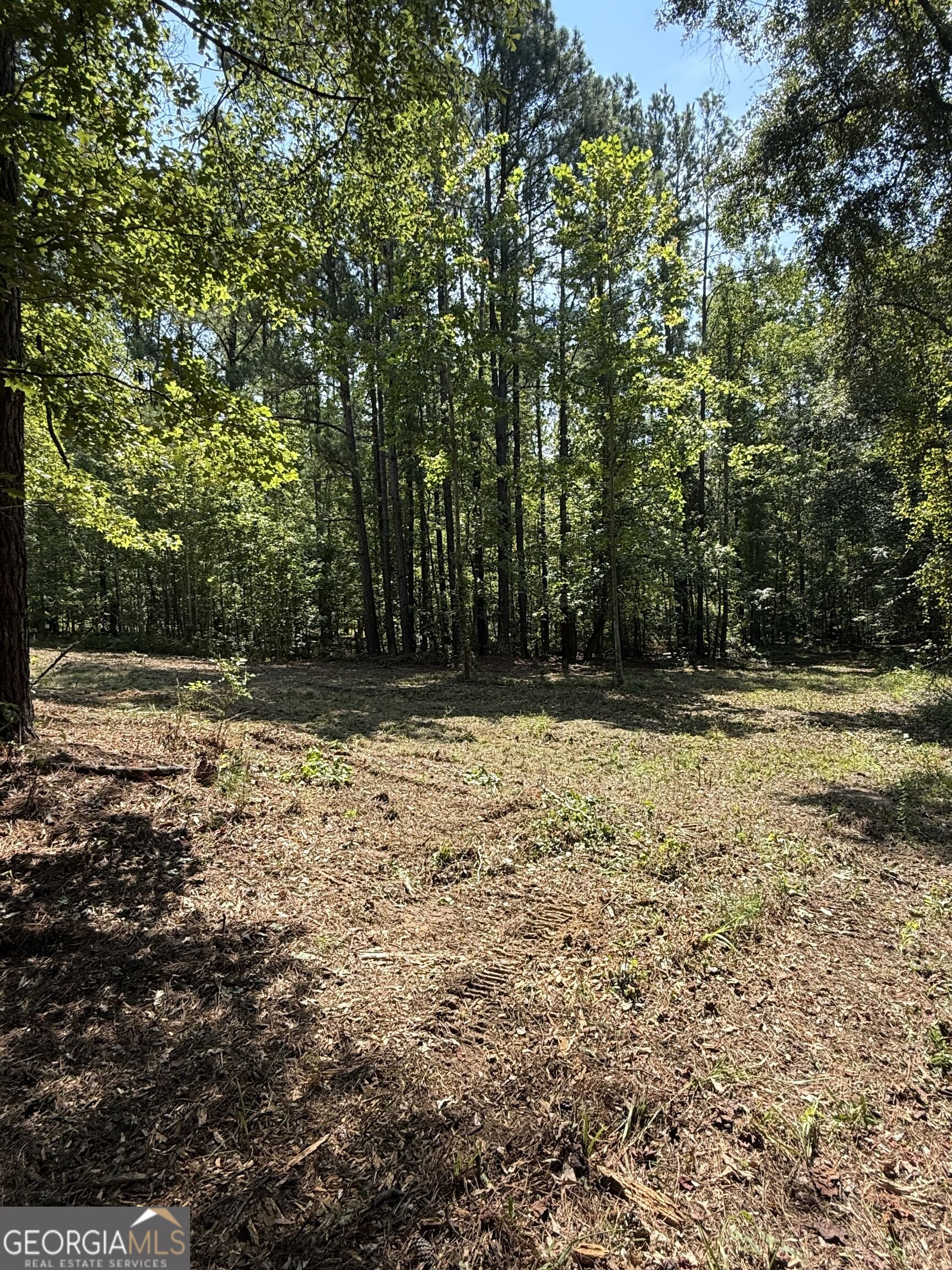 0 Oak Valley Drive Property Photo 21