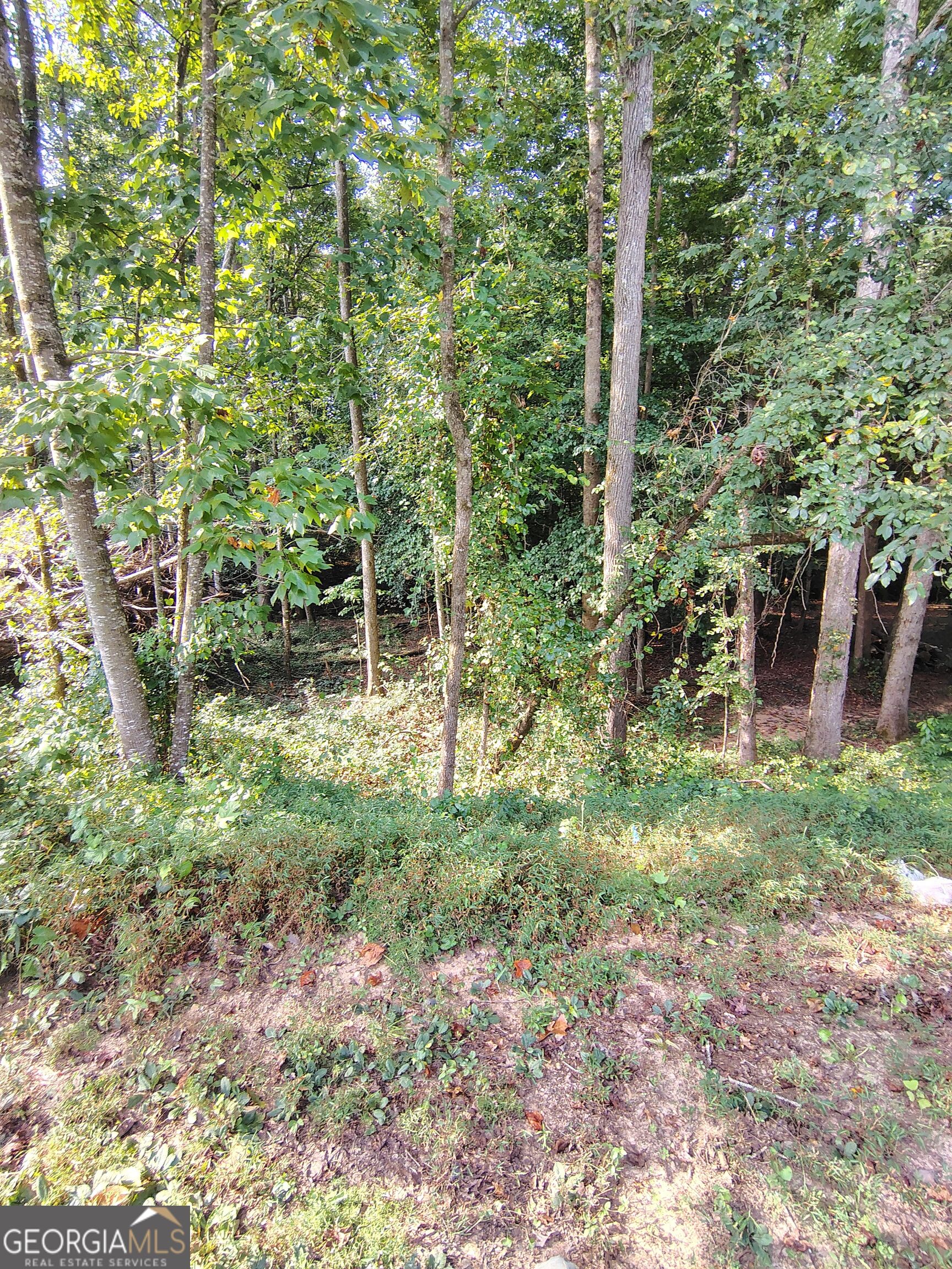 261 Brad St Property Photo 8