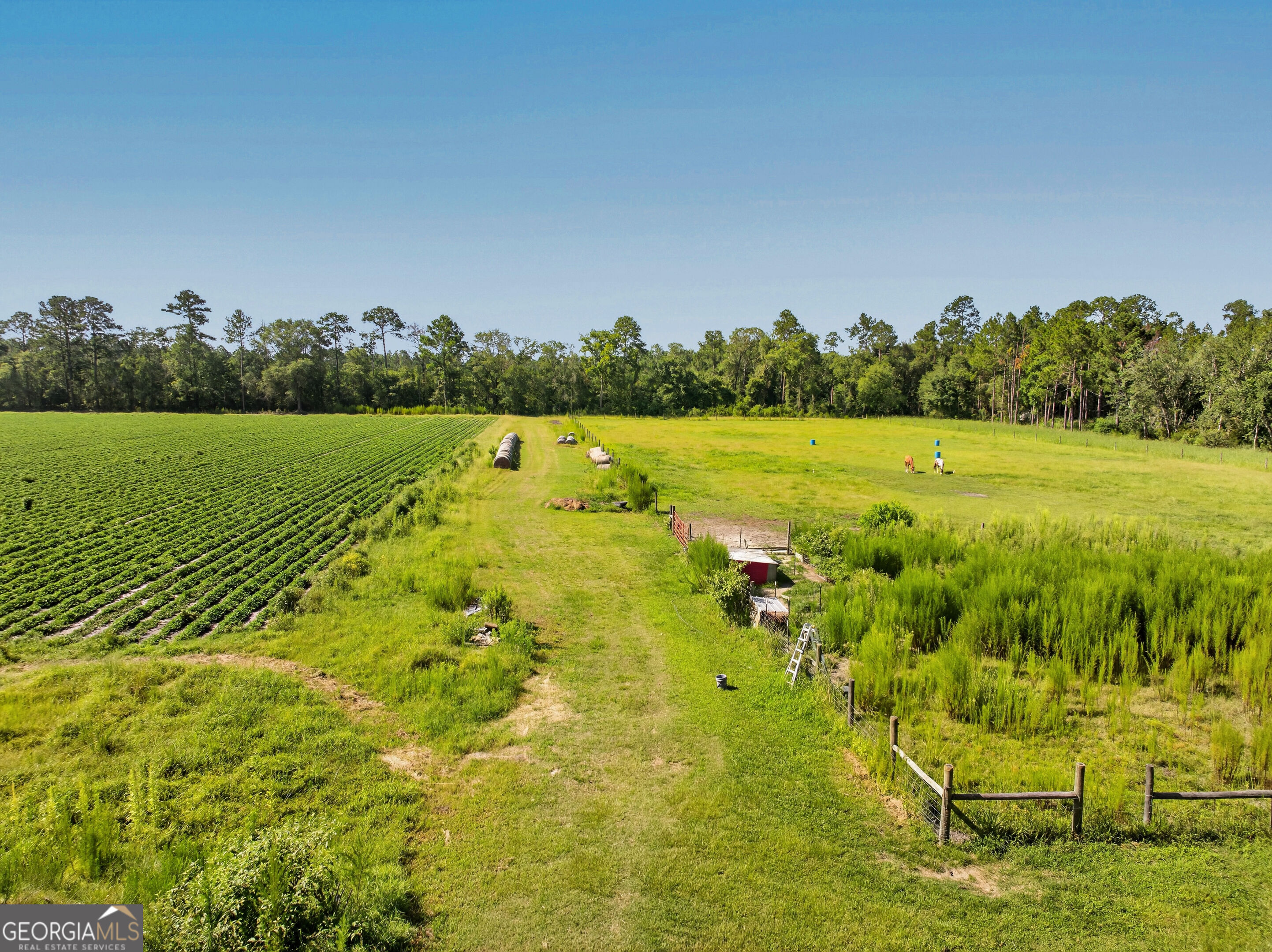 301 Jerry Sutton Road Property Photo 11