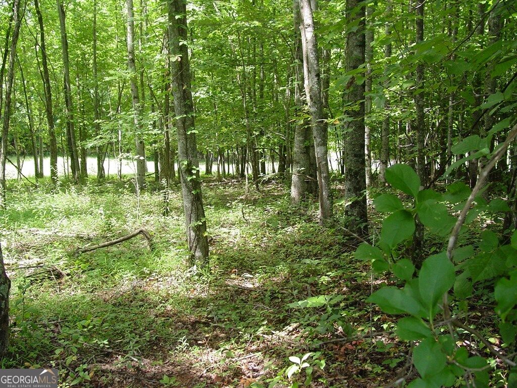 #13 Dan Knob Property Photo 2