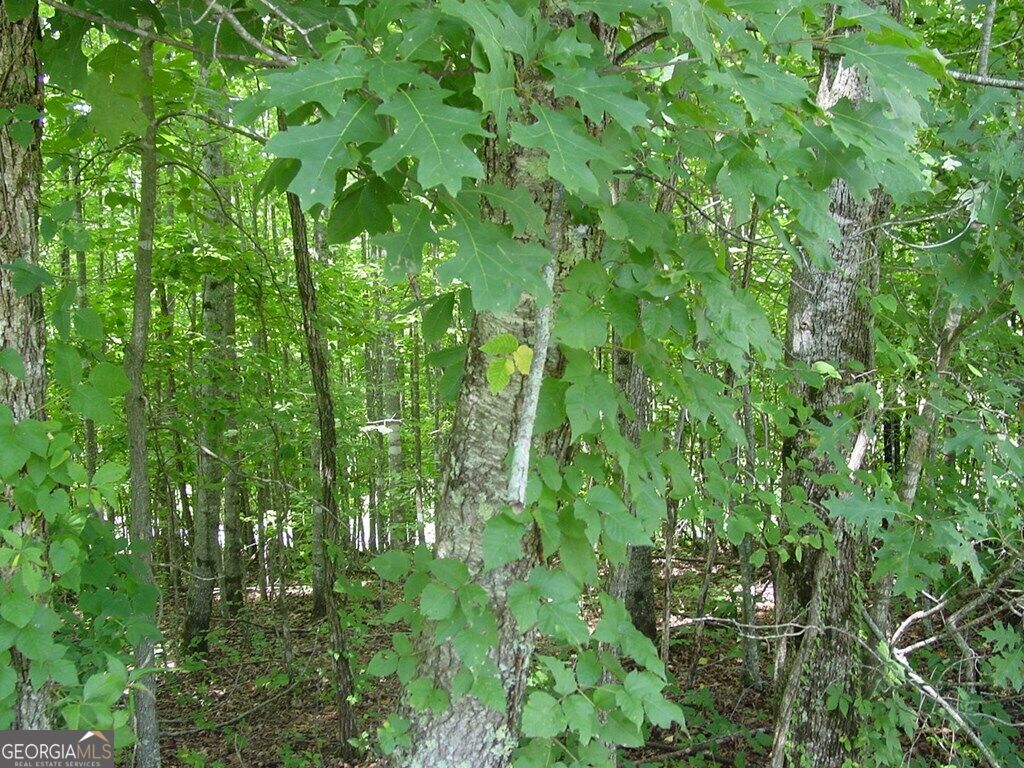 #13 Dan Knob Property Photo 3