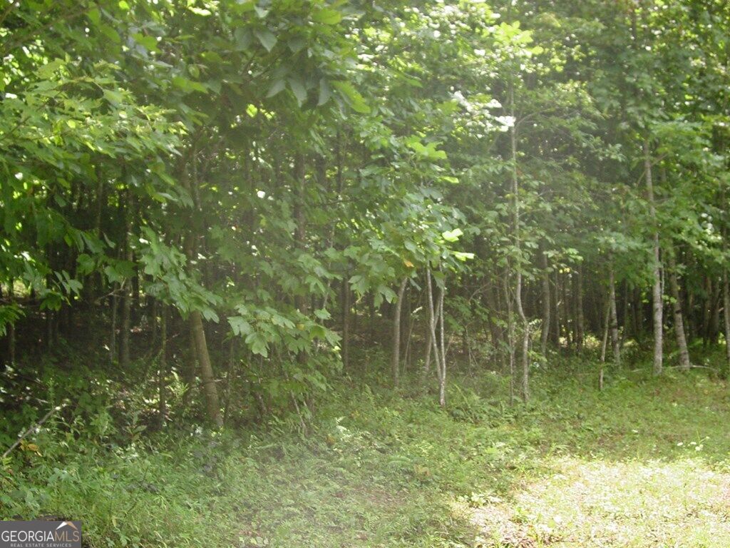 #13 Dan Knob Property Photo 4