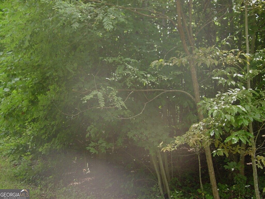 #13 Dan Knob Property Photo 5