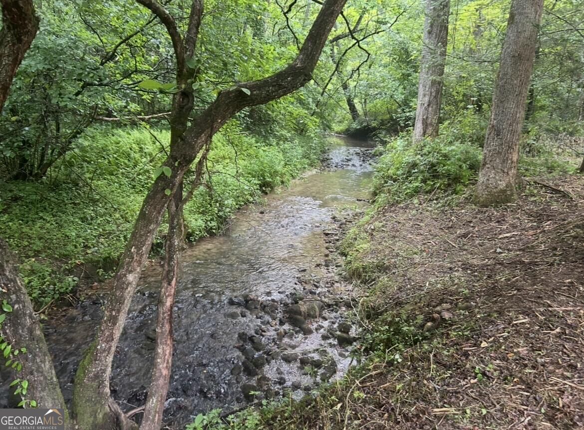 10042 Doublehead Gap Road Property Photo 3
