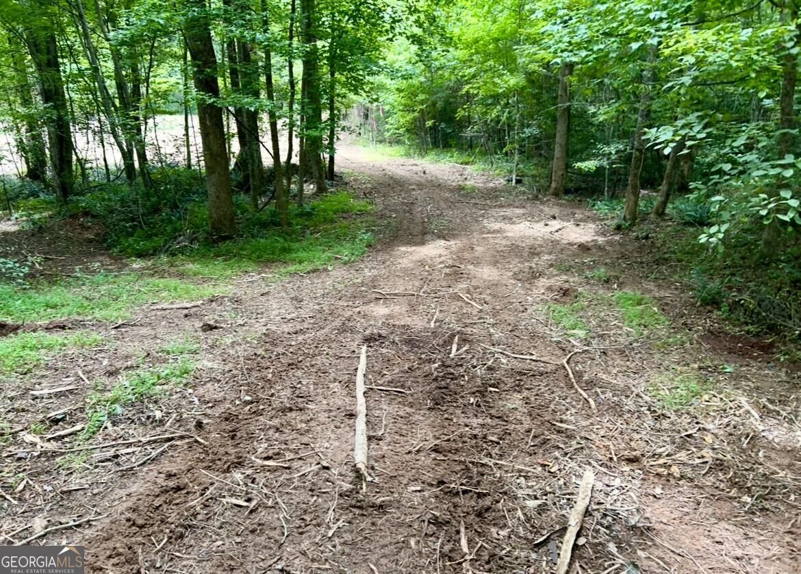 10042 Doublehead Gap Road Property Photo 7