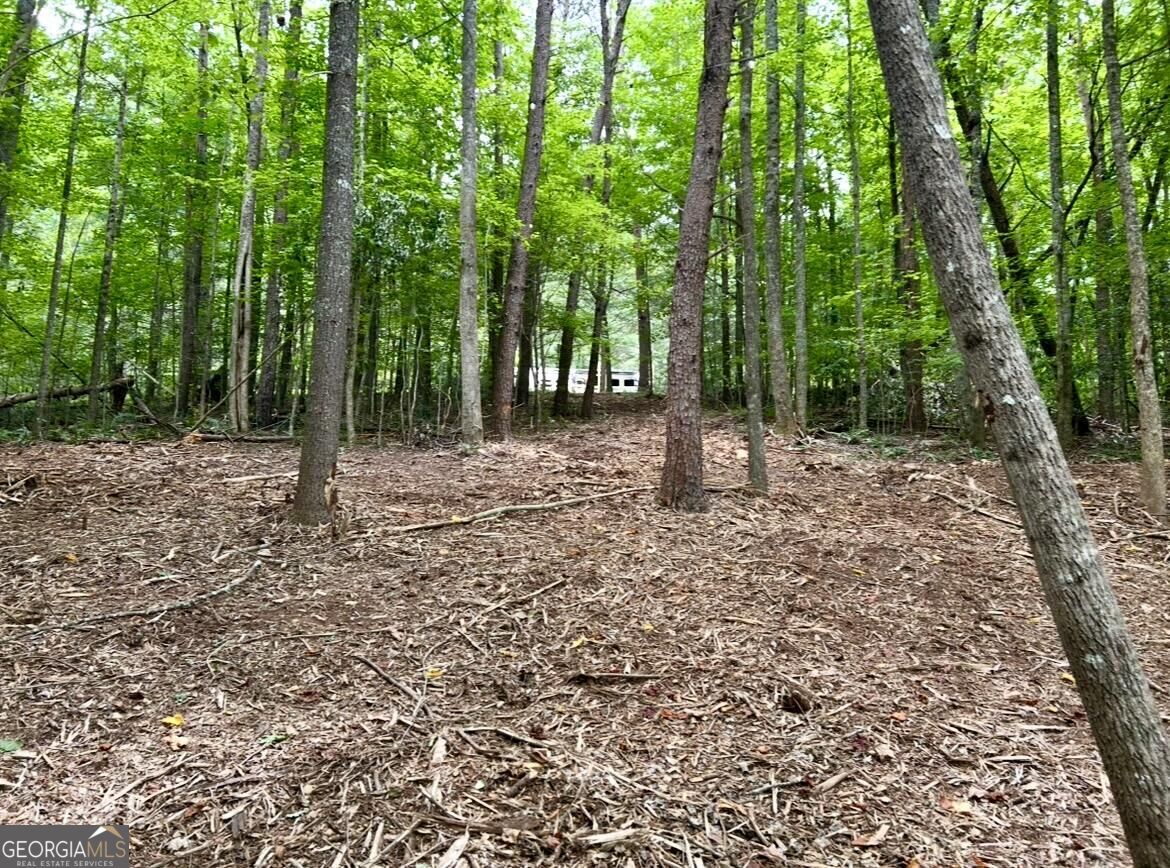 10042 Doublehead Gap Road Property Photo 9