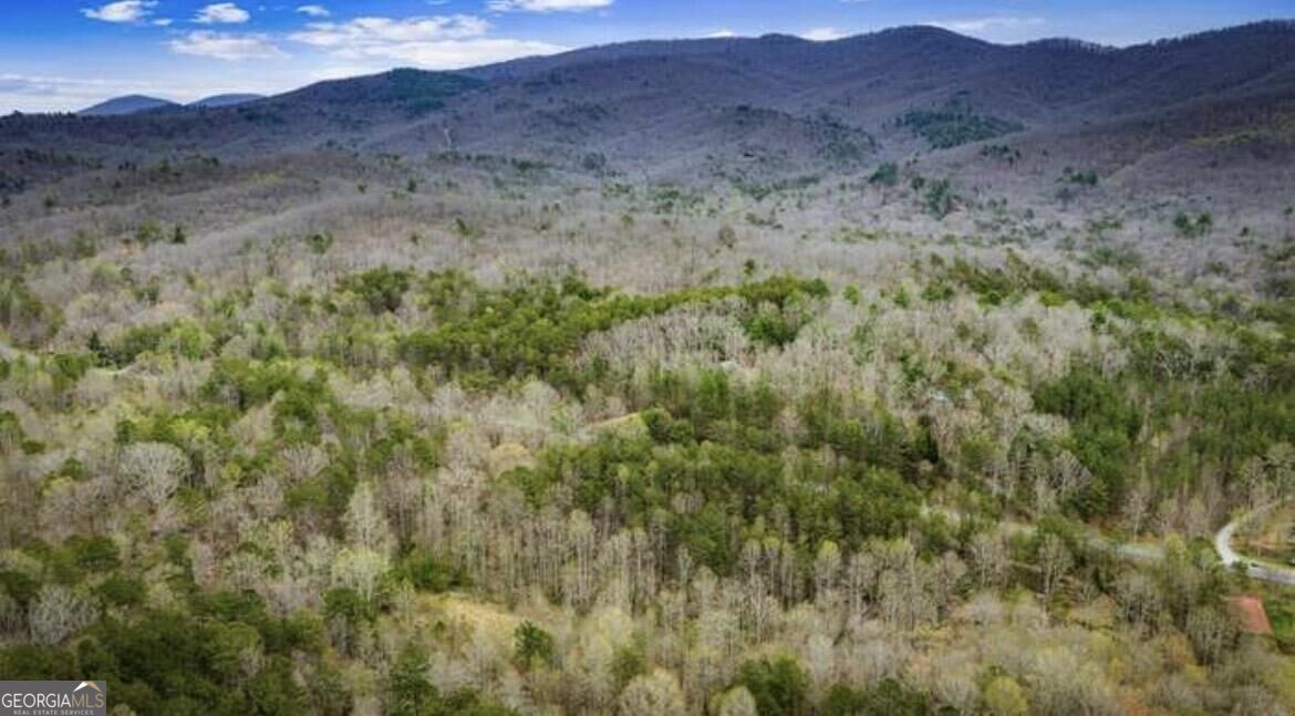 10042 Doublehead Gap Road Property Photo 10