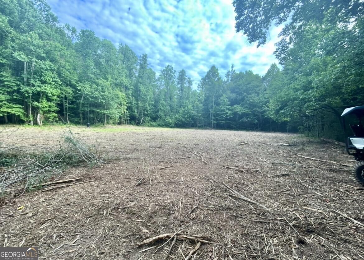 10042 Doublehead Gap Road Property Photo 12