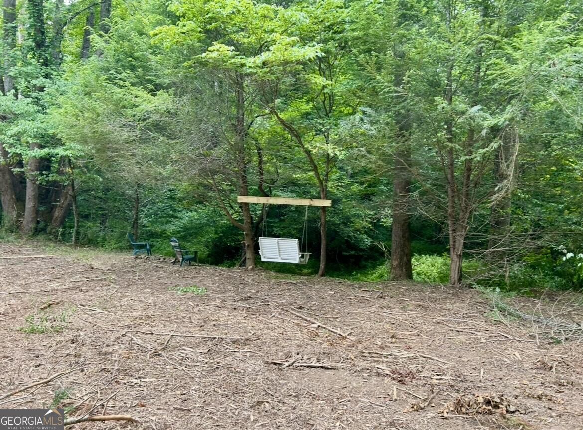 10042 Doublehead Gap Road Property Photo 16