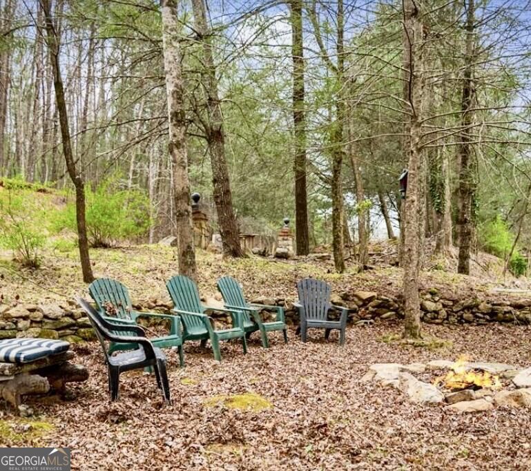10042 Doublehead Gap Road Property Photo 19