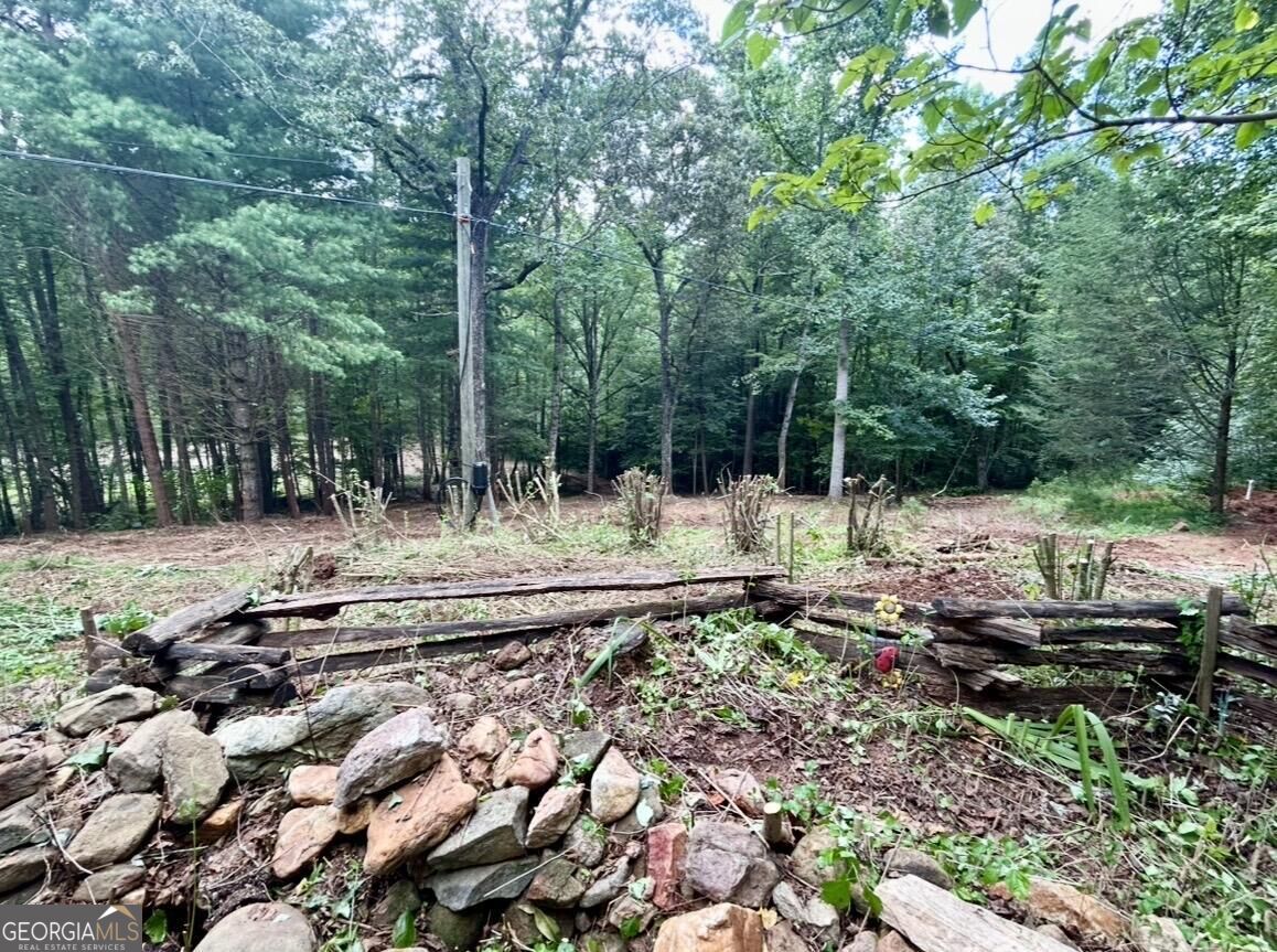 10042 Doublehead Gap Road Property Photo 29