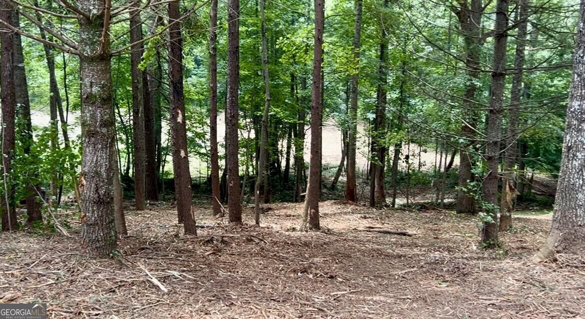10042 Doublehead Gap Road Property Photo 30