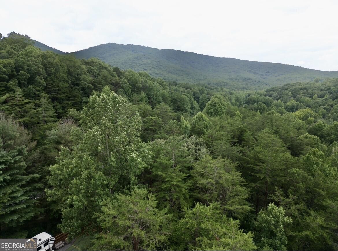 10042 Doublehead Gap Road Property Photo 31