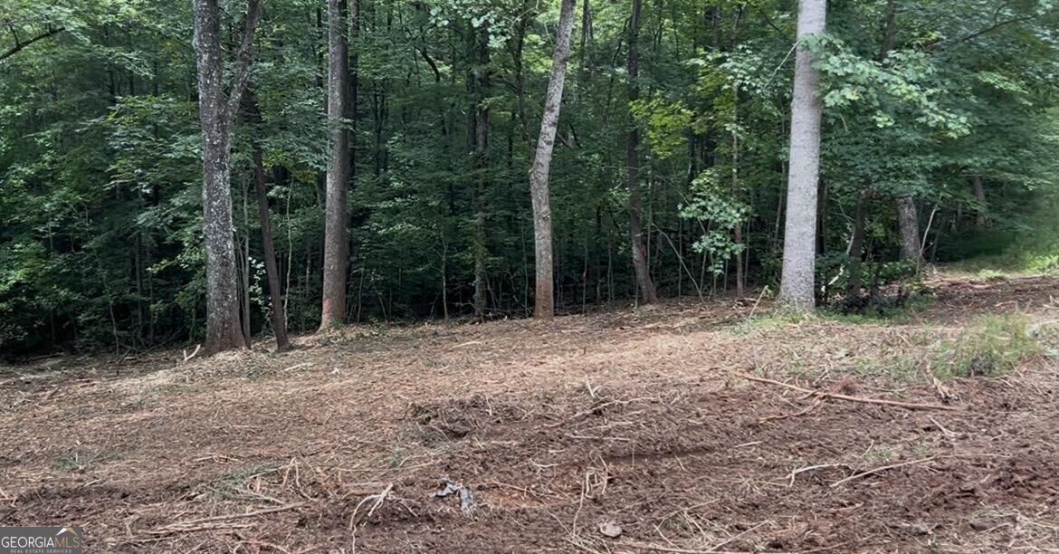 10042 Doublehead Gap Road Property Photo 32
