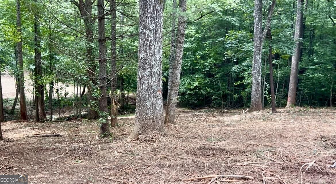 10042 Doublehead Gap Road Property Photo 33