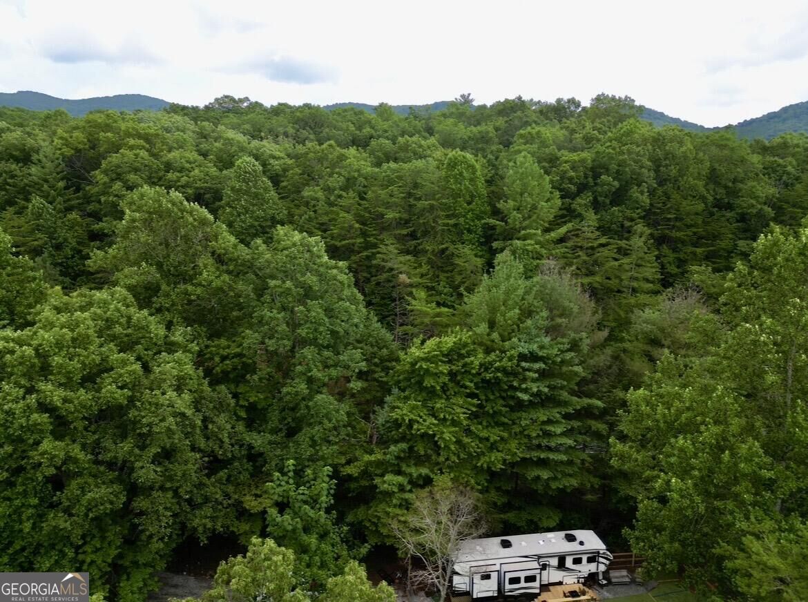10042 Doublehead Gap Road Property Photo 35