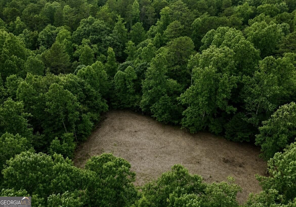 10042 Doublehead Gap Road Property Photo 36