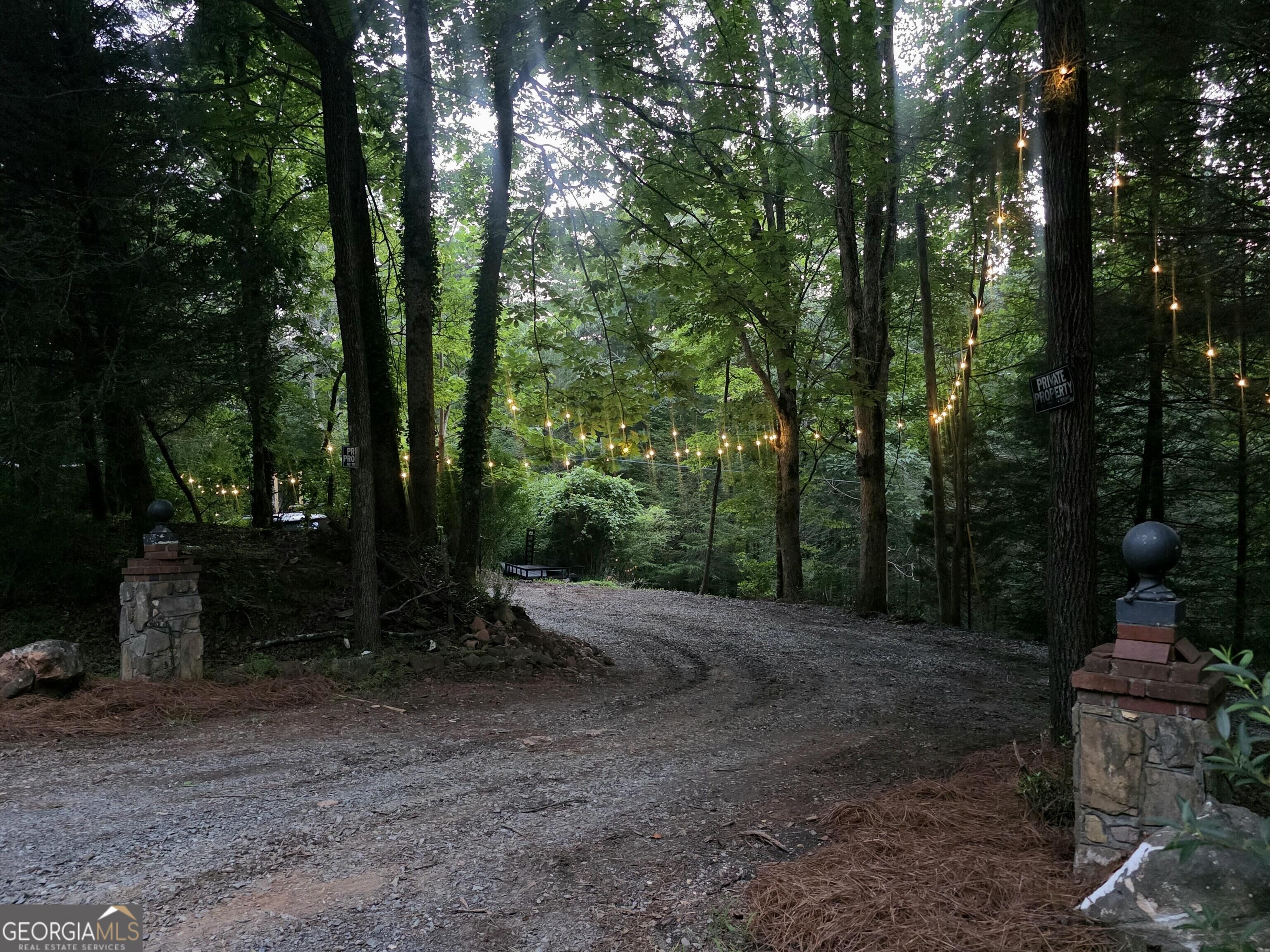 10042 Doublehead Gap Road Property Photo 37