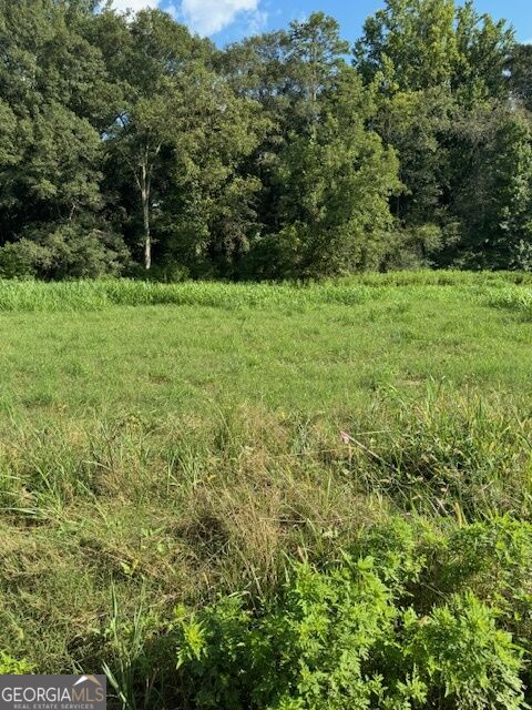 Lot #3 Rita Ridge Property Photo 4