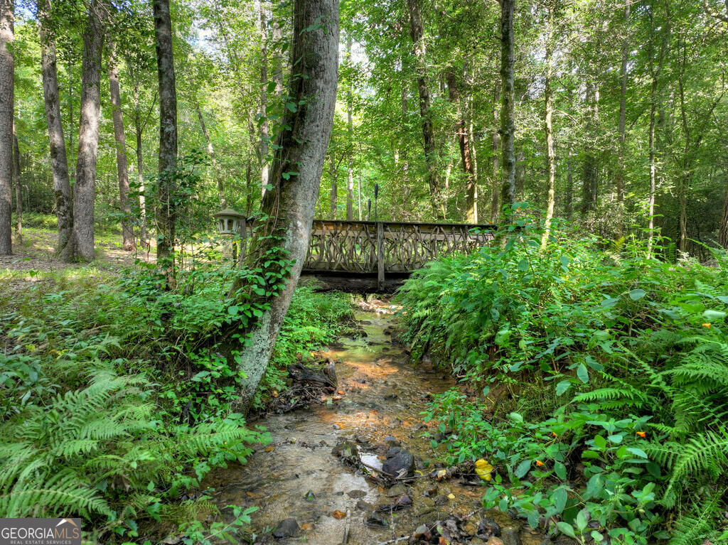 685 Chopped Oak Road Property Photo 3