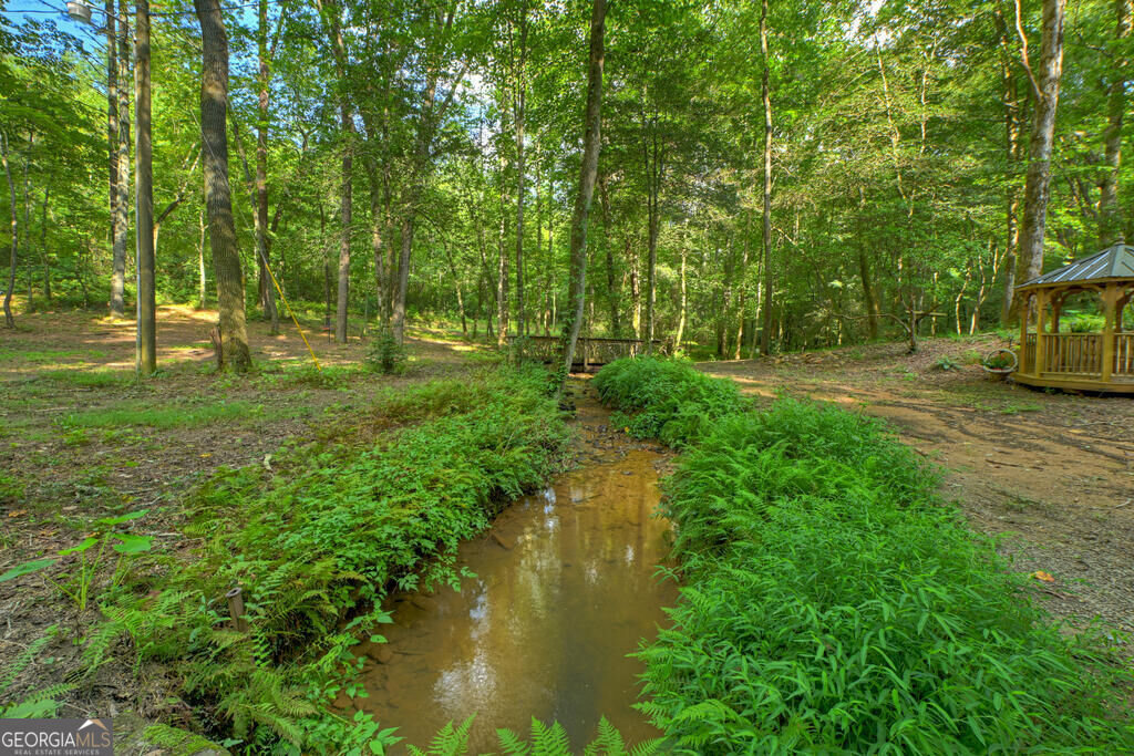 685 Chopped Oak Road Property Photo 14