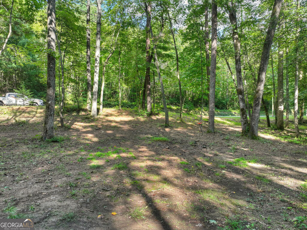 685 Chopped Oak Road Property Photo 16