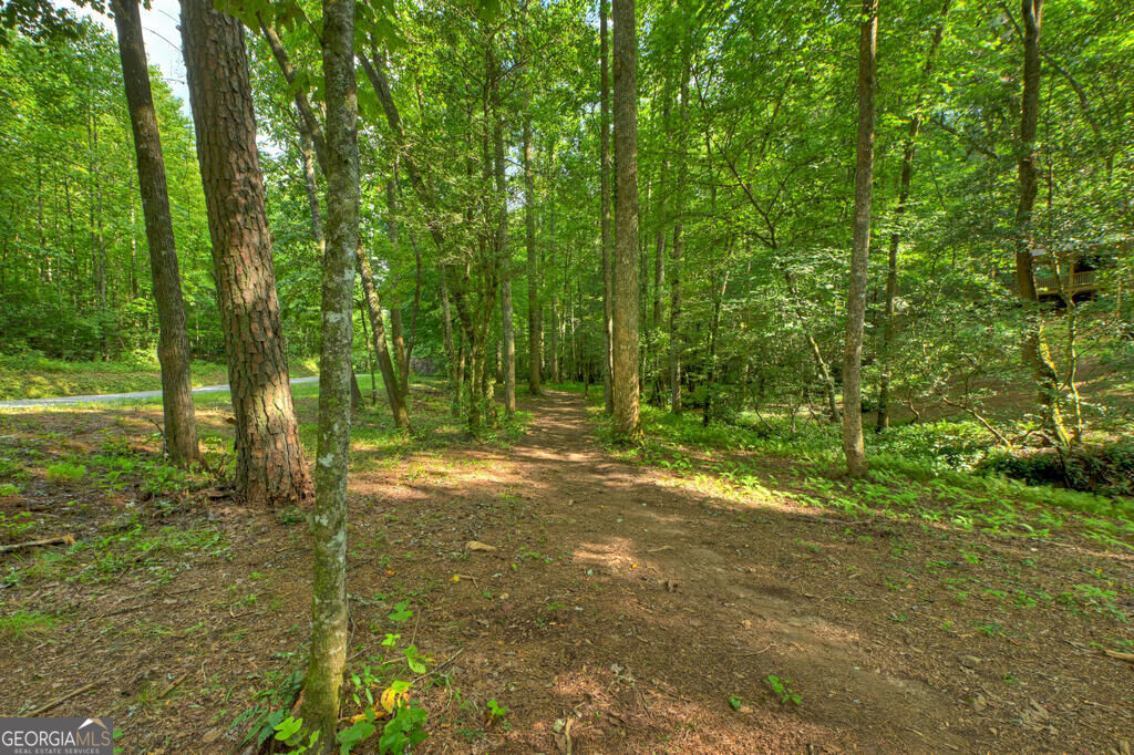 685 Chopped Oak Road Property Photo 17