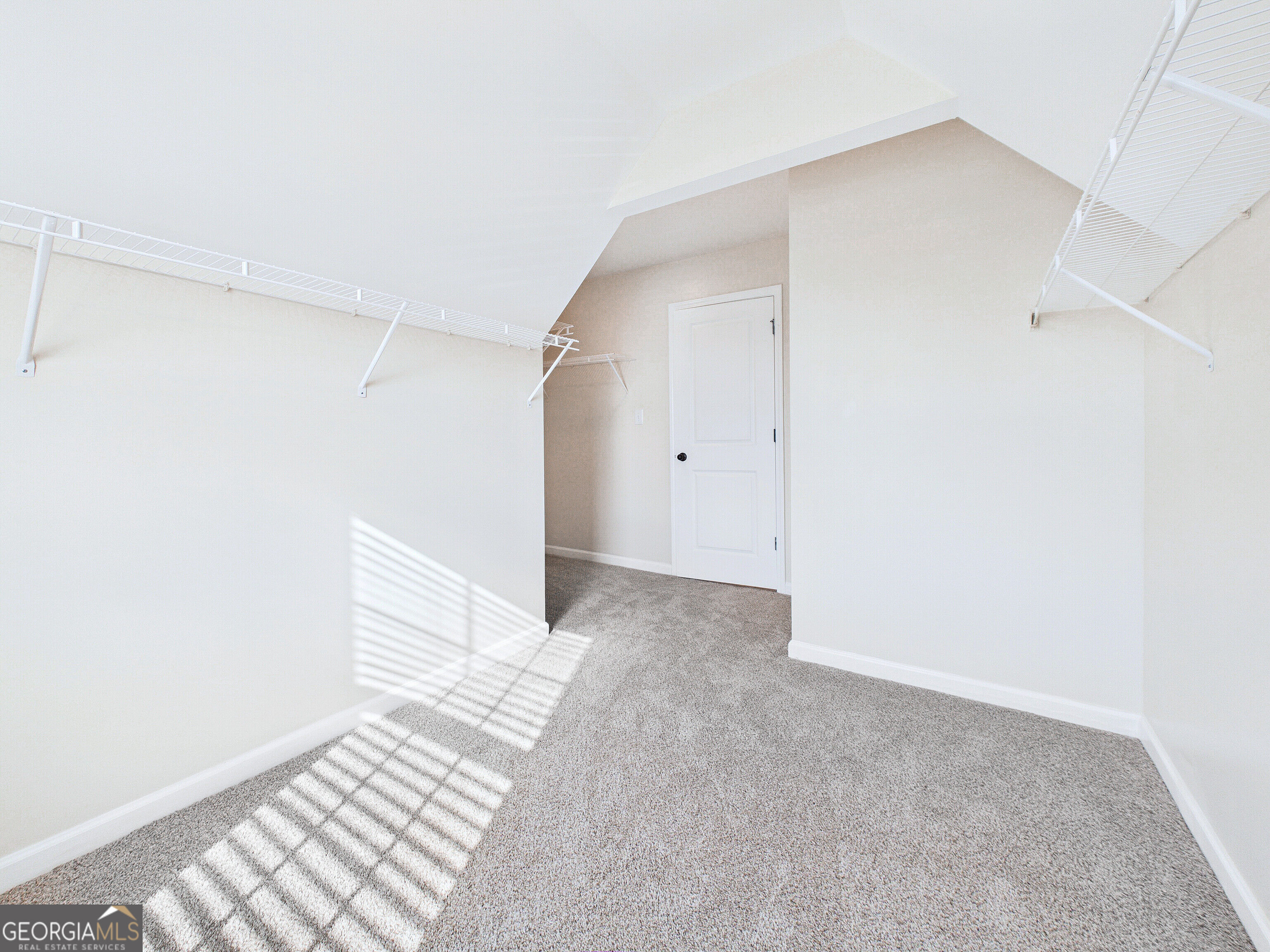 283 Trellis Walk Property Photo 46
