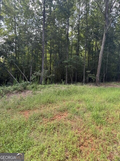 Lot #4 Rita Ridge Property Photo 4