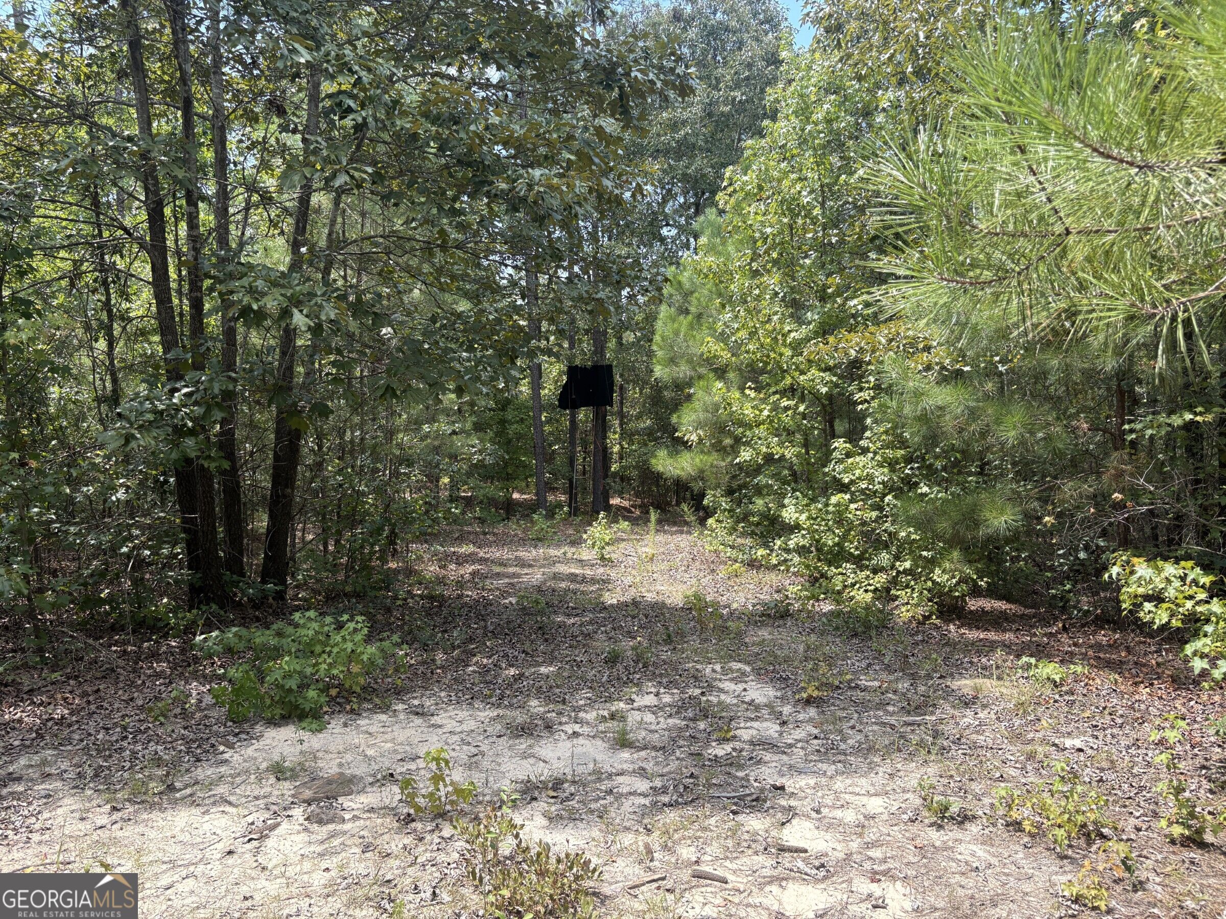 L11 N Indian Trail Road