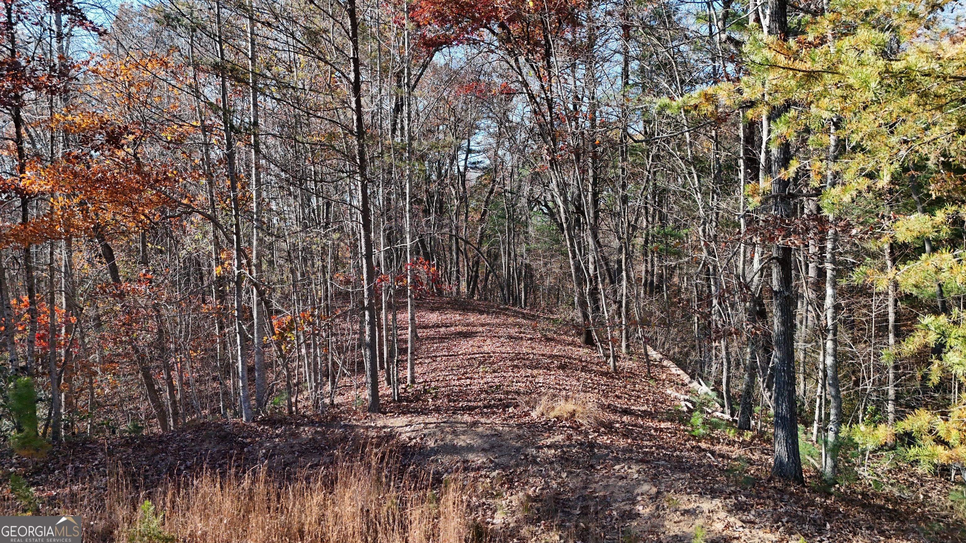 Lot 197 Springwinds Drive Property Photo 1