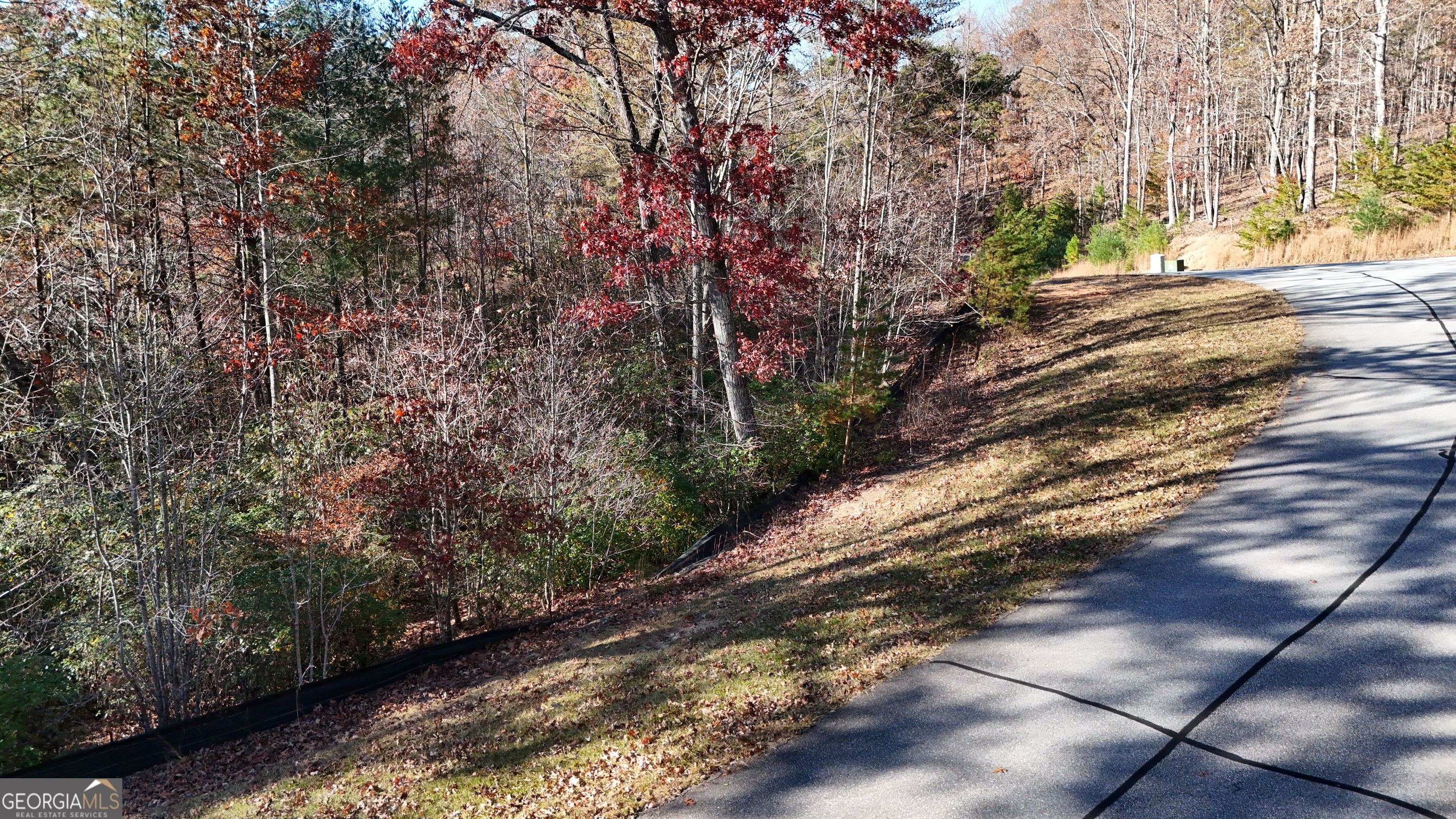 Lot 197 Springwinds Drive Property Photo 2