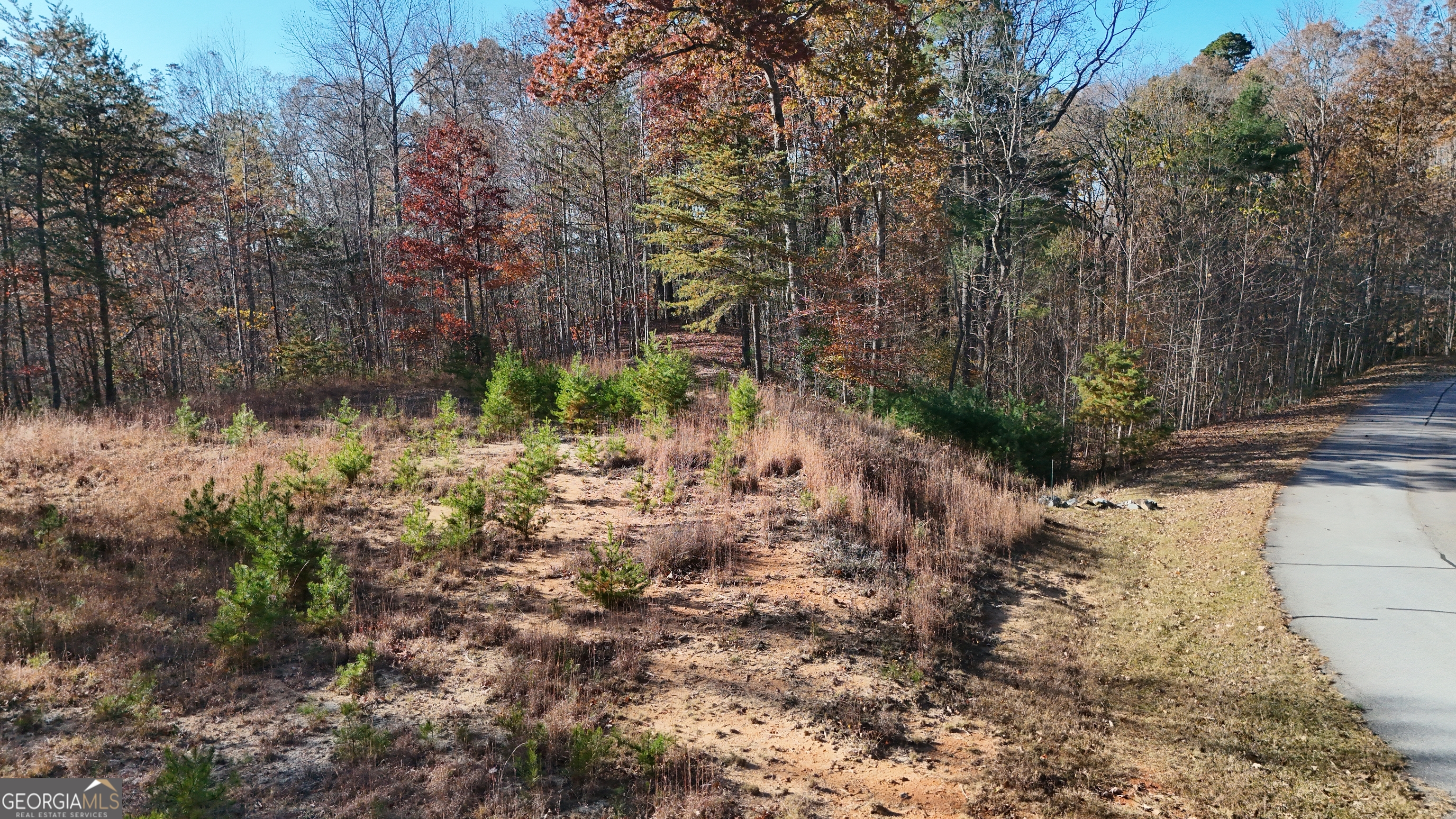 Lot 197 Springwinds Drive Property Photo 6