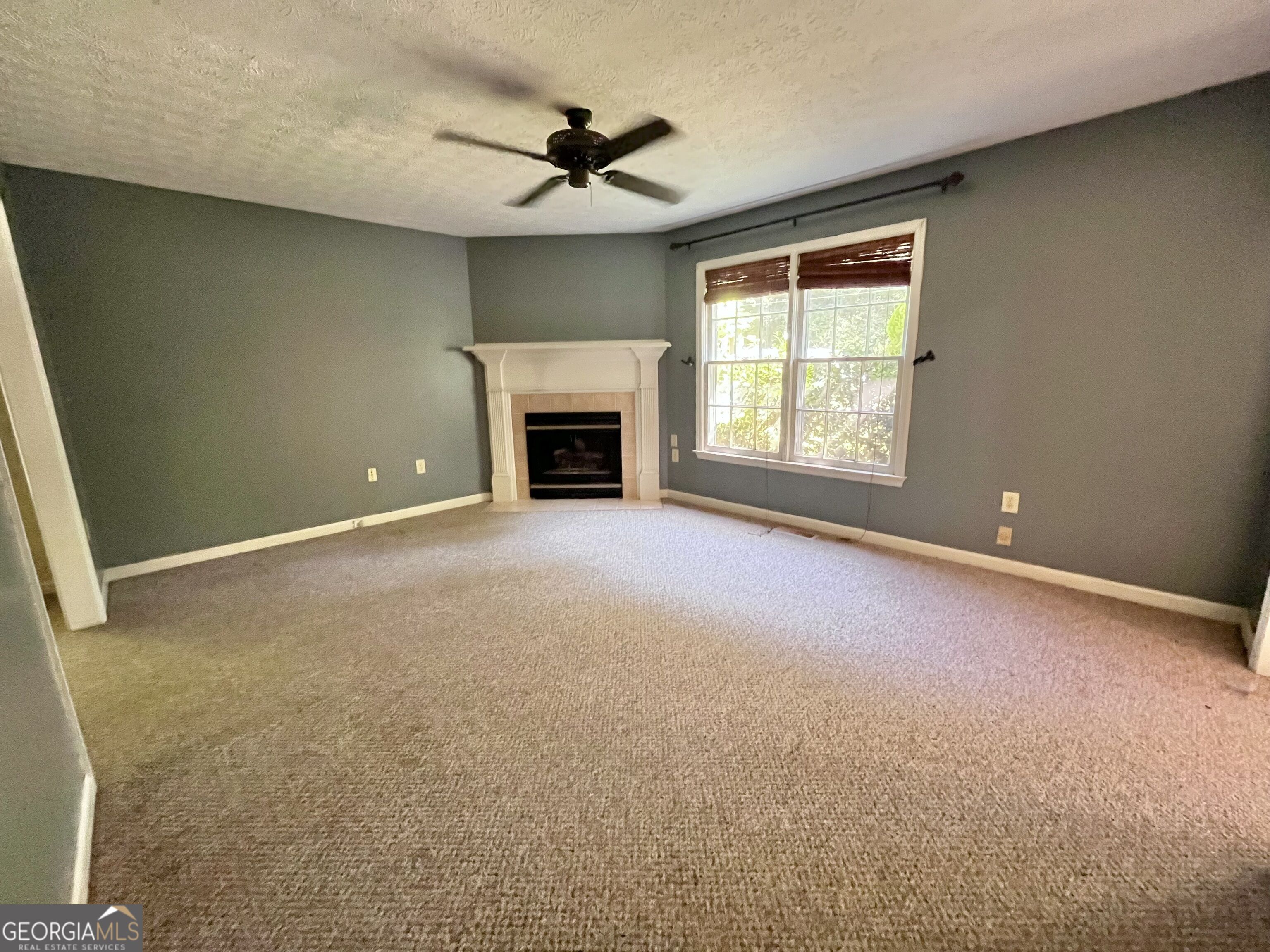 215 Mcduffie Drive Property Photo 4