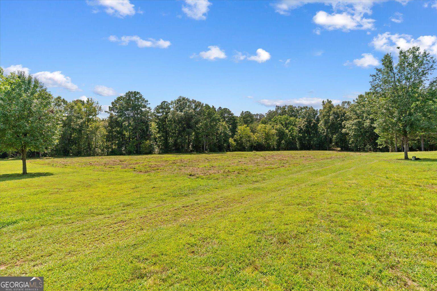 385 Wilson Road Property Photo 54