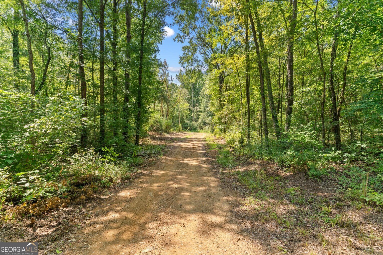 385 Wilson Road Property Photo 56