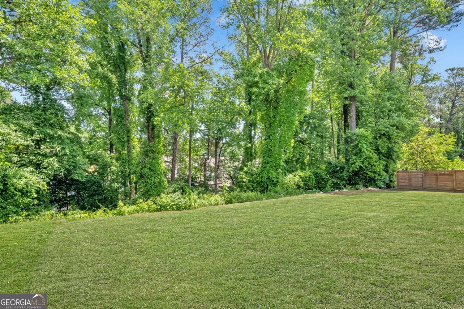 1229 Hampton Park Road Property Photo 81