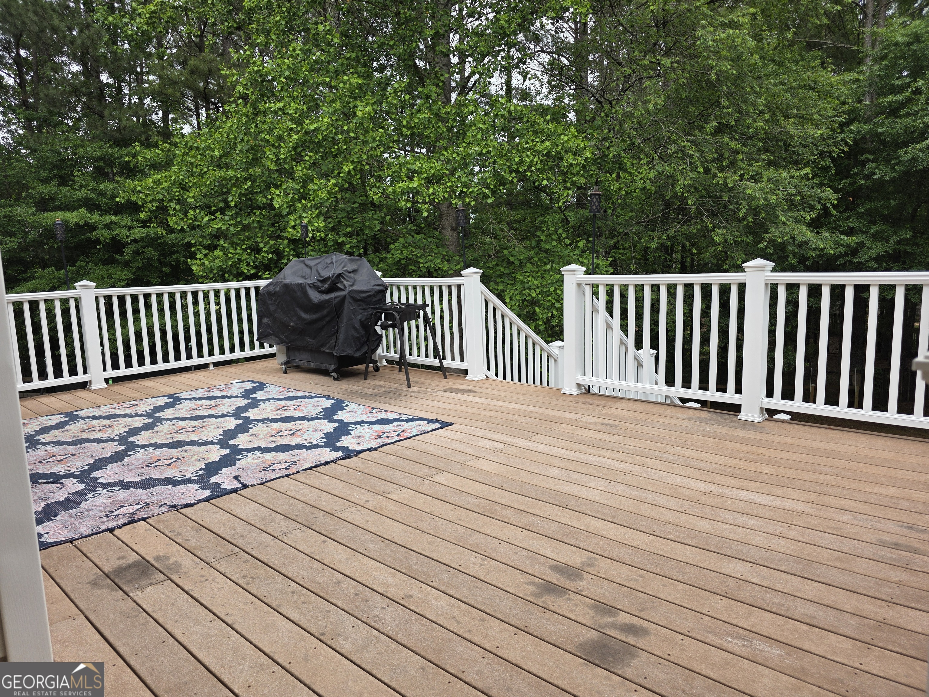 1005 Creek Run Place Property Photo 15