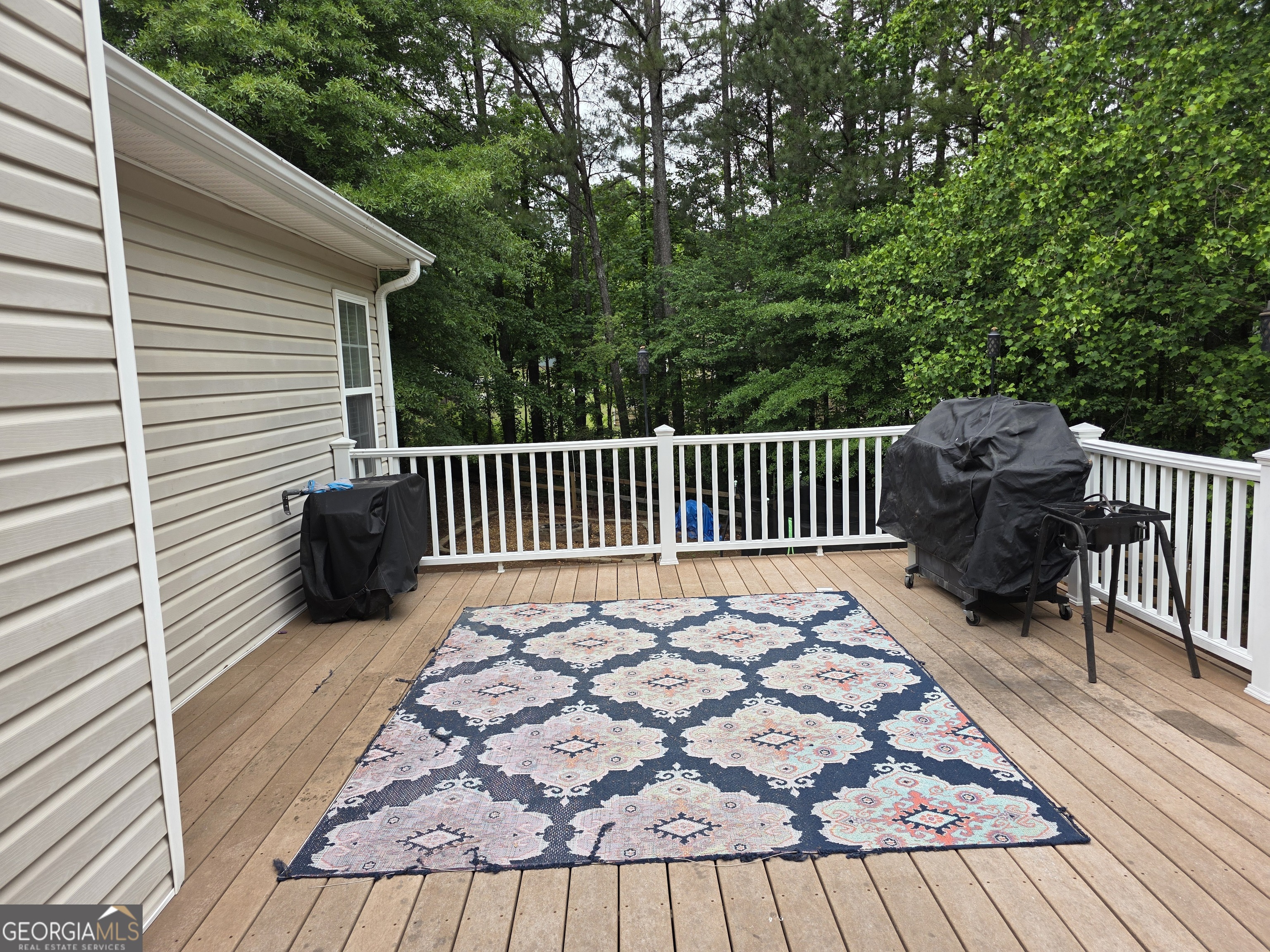 1005 Creek Run Place Property Photo 16