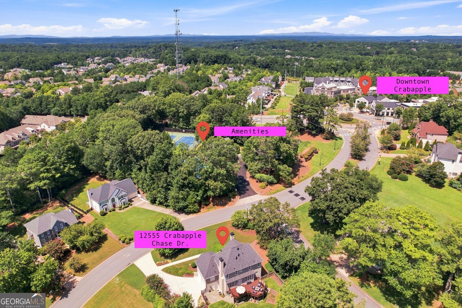 12555 Crabapple Chase Drive Property Photo 12
