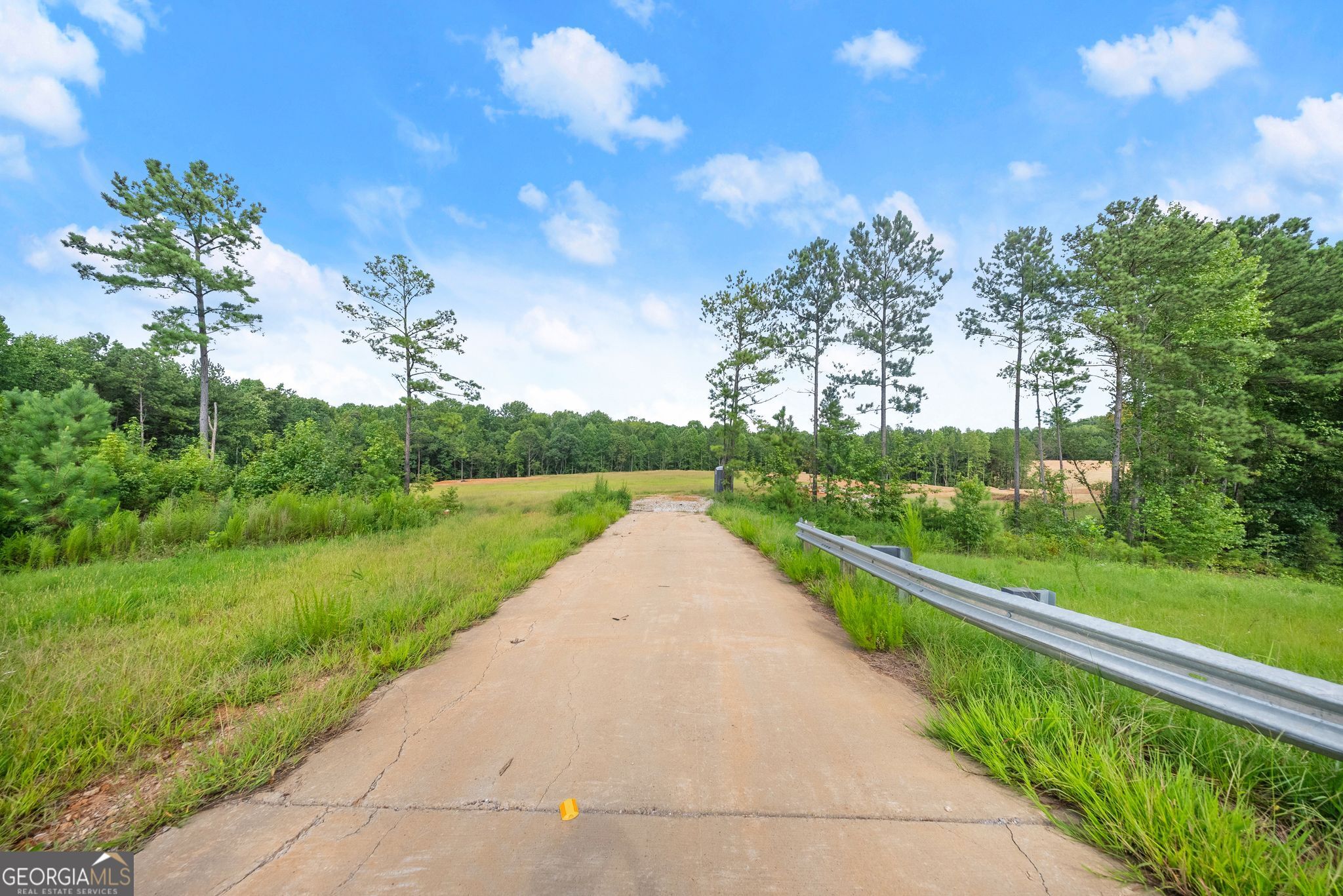 2811 Athens Highway Property Photo 5