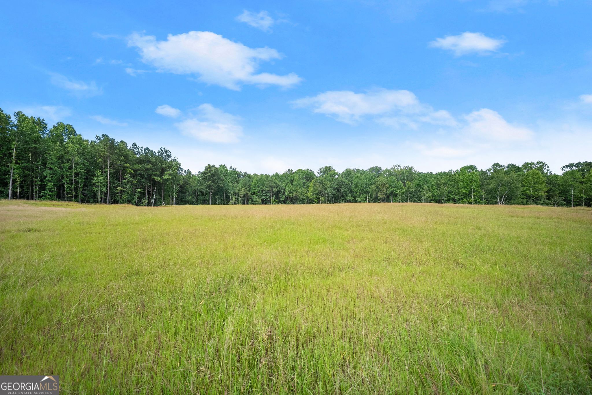 2811 Athens Highway Property Photo 35
